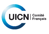 Comité français de l’Union Internationale